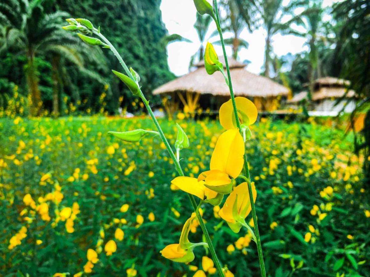 Khaosok Boutique Hideaway Hotel Phanom Екстериор снимка